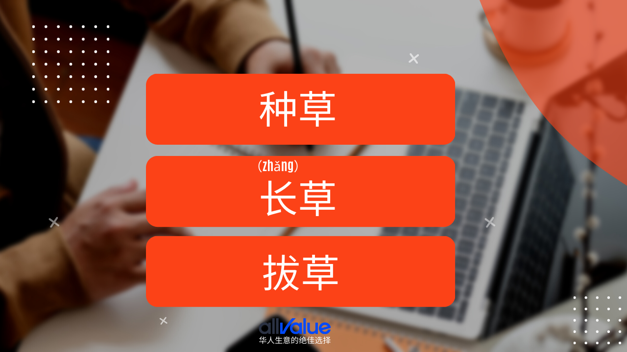 內(nèi)容與商業(yè)相遇：小紅書，2023海外華人商家一定要抓住的商業(yè)風(fēng)向